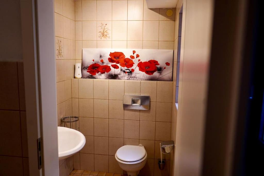 Helle Kellerwohnung Im Gruenen Mit Sauna Keulen Buitenkant foto